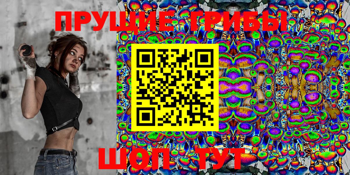 Галлюциногенные грибы Psilocybe  Вход с VPN  Псилоцибиновые грибы Psilocybine cubensis  Королёв 